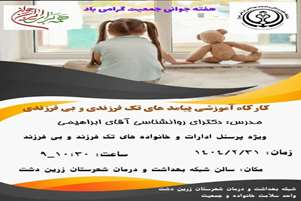 کارگاه آموزشی پیامدهای تک فرزندی و بی فرزندی 